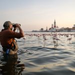 Flamingos and Politics: Narratives in Transition
