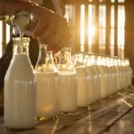 Raw Milk: Health Risks and Cultural Trends