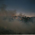 Tragedy and Climate: A Global Perspective
