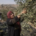Violence in the West Bank: Diplomatic Challenges Ahead