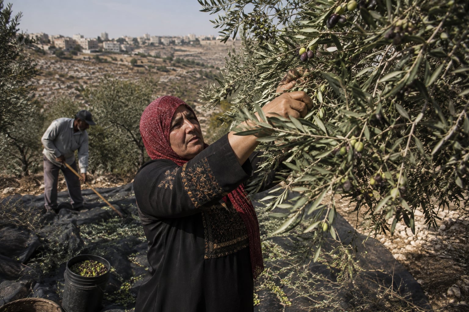 Violence in the West Bank: Diplomatic Challenges Ahead